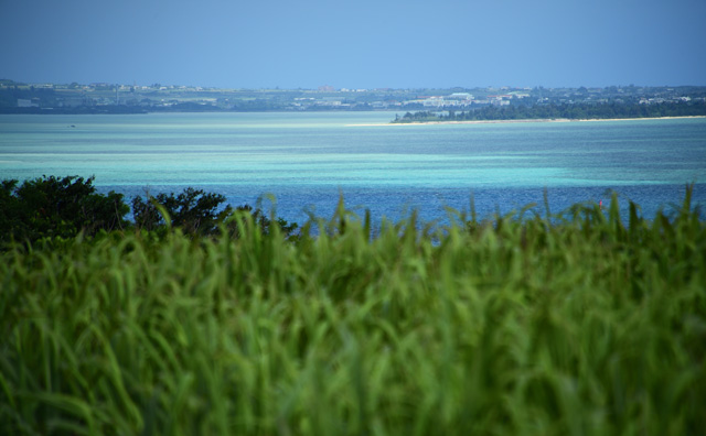 沖縄の景色